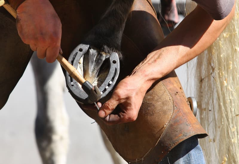 Herrador de caballos en A Cañiza